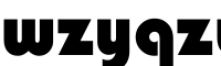 wzyqzufundraisingbytotalconcepts mall